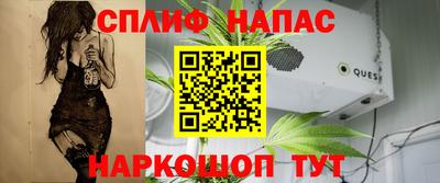 крисы Лениногорск