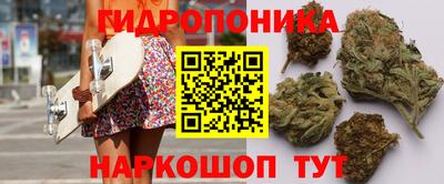 крисы Лениногорск