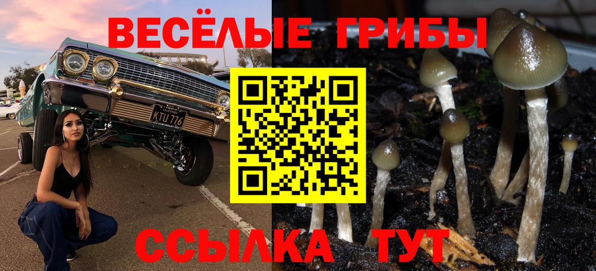 Псилоцибиновые грибы мухоморы  Вход с VPN  Ливны 